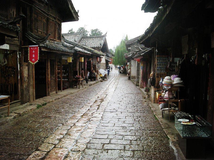 救援小橘猫